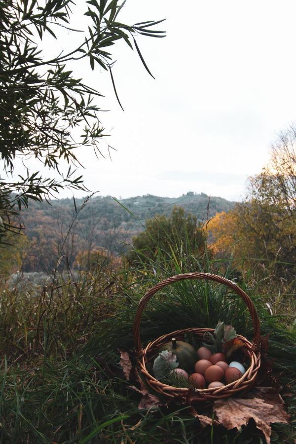 La Tenuta - Resort Agricolo Casaprota Dış mekan fotoğraf
