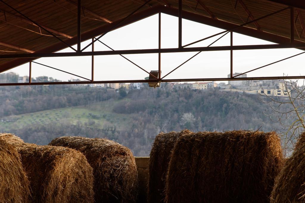 La Tenuta - Resort Agricolo Casaprota Dış mekan fotoğraf