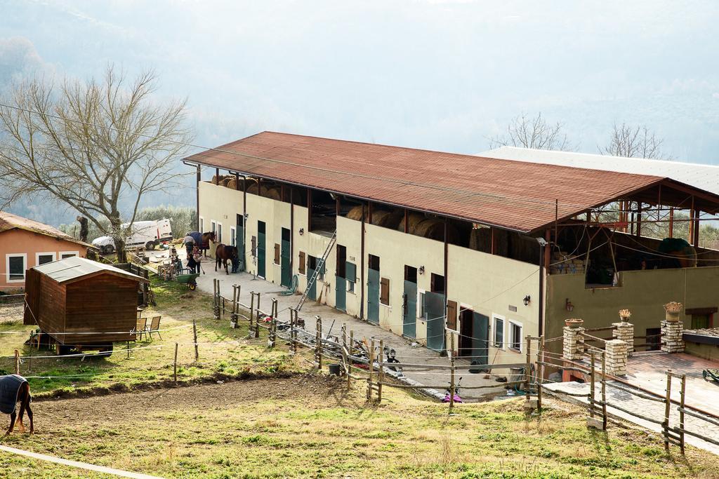 La Tenuta - Resort Agricolo Casaprota Dış mekan fotoğraf