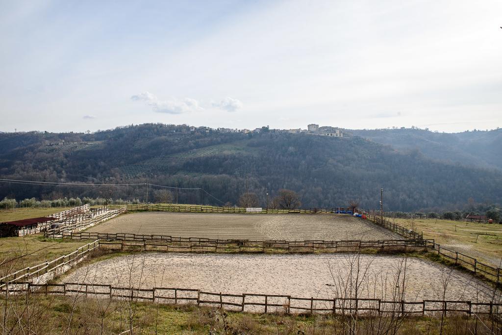 La Tenuta - Resort Agricolo Casaprota Dış mekan fotoğraf